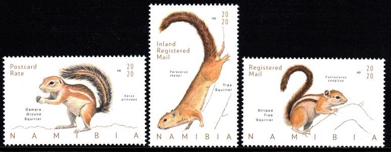 Namibia - 2020 Squirrels Set MNH**