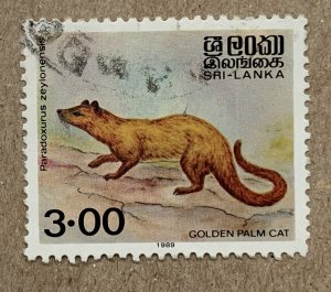 Sri Lanka 1989 3r Golden Palm Cat, used. Scott 928, CV $0.40. SG 1081