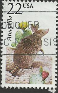 # 2296 USED ARMADILLO