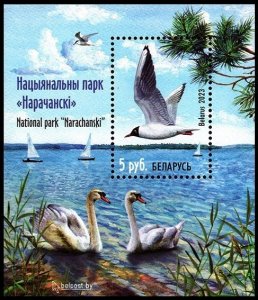 BELARUS 2023-15 FAUNA Birds: Narachanski National Park. S/Sheet Perforated, MNH