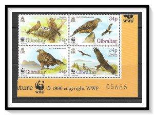 Gibraltar #716 Red Kite Bird WWF Block MNH