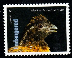 SC# 5799g - (668) - Endangered Bobwhite Quail - 7 of 20 - Used Off Paper