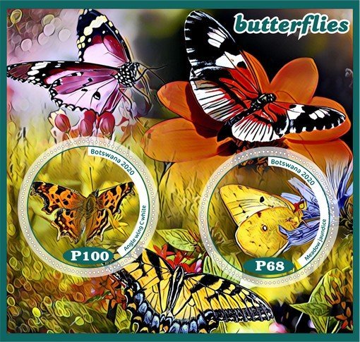 Republic of Botswana stamps 2020. - Set of insect butterflies from 8 blocks MNH