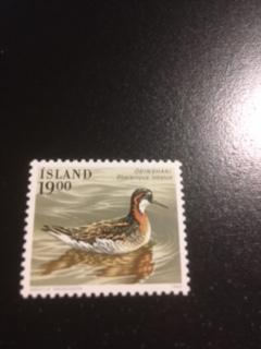 Iceland sc 671 MNH Bird