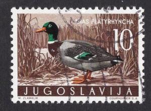 Yugoslavia  #497 1958  cancelled  game birds  mallard