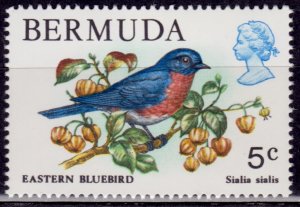 Bermuda, 1978, Wildlife, Eastern Bluebird, 5c, #365, MNH