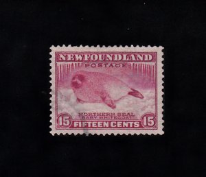 Newfoundland Scott #195 Used