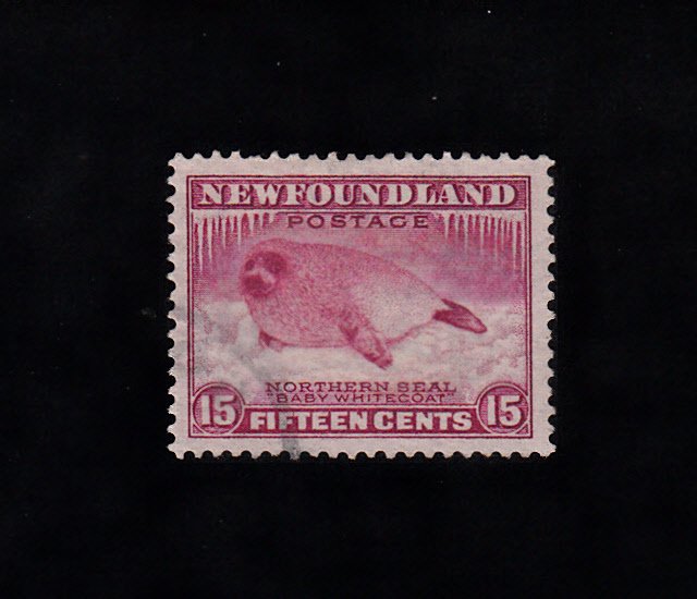 Newfoundland Scott #195 Used