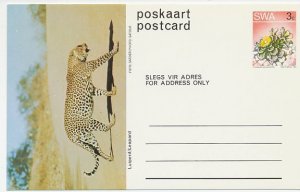 Postal stationery South West Africa 1973 Leopard - Panther