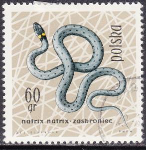 Poland 1137 Grass Snake 1963