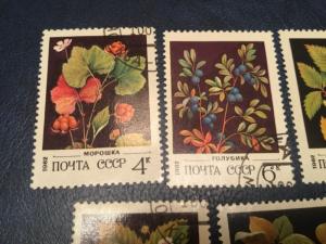 ICOLLECTZONE Russia #5023-27 Flower Set VF Used (Bk1-31)