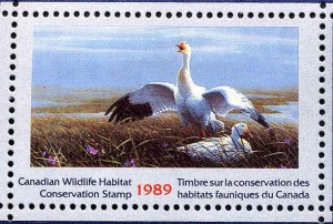 CANADA 1989 DUCK STAMP MINT IN FOLDER AS ISSUED SNOW GOOSE by Jean-Luc Grondin