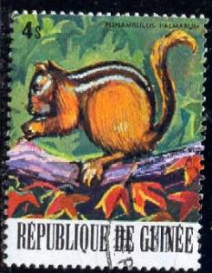 Palm Squirrel, Guinea stamp SC#756b used