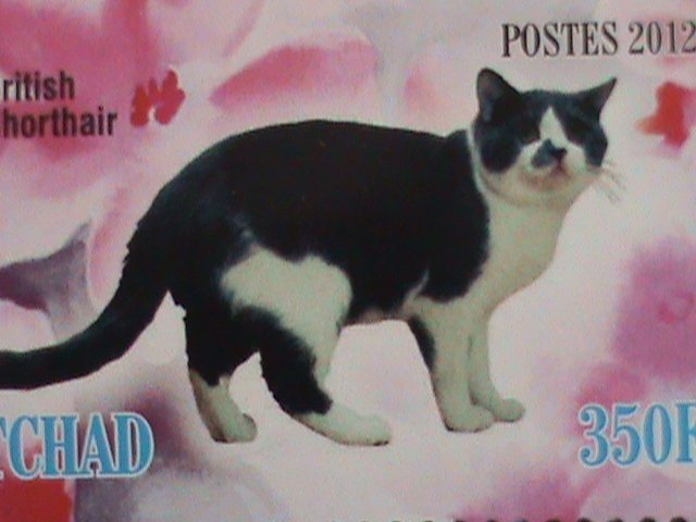 CHAD STAMP 2012  COLORFUL BEAUTIFUL LOVELY CATS-MNH MINI SHEET #2 VERY FINE