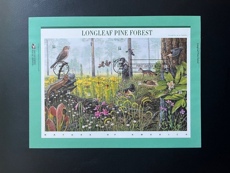 2002 First day issue - Scott# 3611 - Longleaf Pine Forest