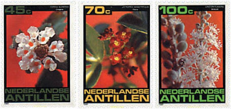 79165 MNH ANTILLAS HOLANDESAS 1981 FLORES DE LAS ANTILLAS