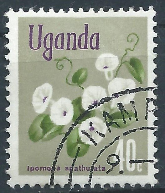 Uganda 1969 - 40c Flowers - SG136 used