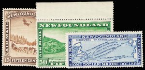 NEWFOUNDLAND C6-8  Mint (ID # 106913)