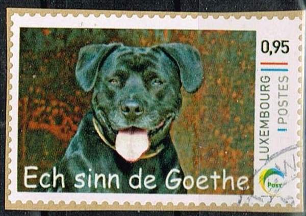 Luxembourg 2016,Sc.# used, Labrador Retriever „Goethe“ (Canis lupus familiaris)