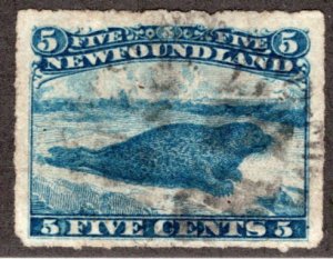 37, NSSC, Scott, Newfoundland, 5c, blue, Used, F/VF, Harp Seal, Postage Stamp