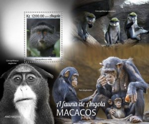 Angola - 2019 Monkeys on Stamps - Stamp Souvenir Sheet - ANG190211b