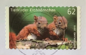 Germany 2015 Scott 2824 used on paper - 62c,  Baby animals,  Red Squirrel