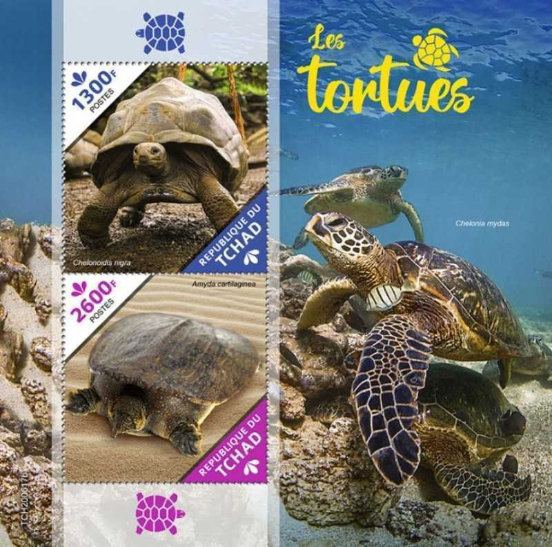 Chad - 2020 Softshell Turtle & Galapagos Tortoise 2 Stamp Souvenir Sheet 