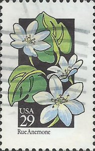 # 2694 USED RUE ANEMONE