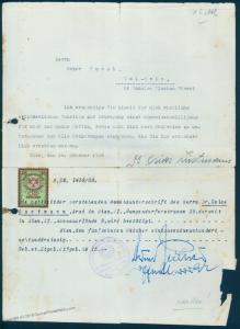 Austria 1938 Germany Jewish Man Emigrate Israel Revenue Stamps Document 89969