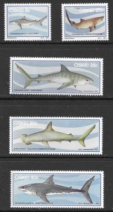 South Africa, Ciskei Scott 54-58 MNH Shark Set of 1983 Great White Hammerhead