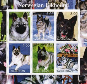 Tajikistan 2000  DOGS NORWEGIAN ELKHOUND Sheetlet (6) MNH