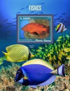 Sierra Leone - 2019 Fishes on Stamps - Stamp Souvenir Sheet - SRL190605b