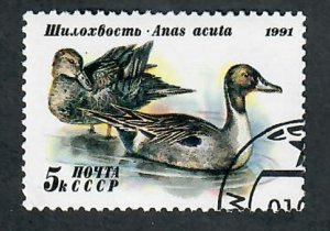 Russia 6009 Ducks CTO Single