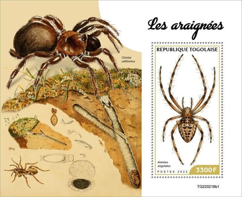 Togo - 2022 Orb-weaving Spiders - Stamp Souvenir Sheet - TG220218b1