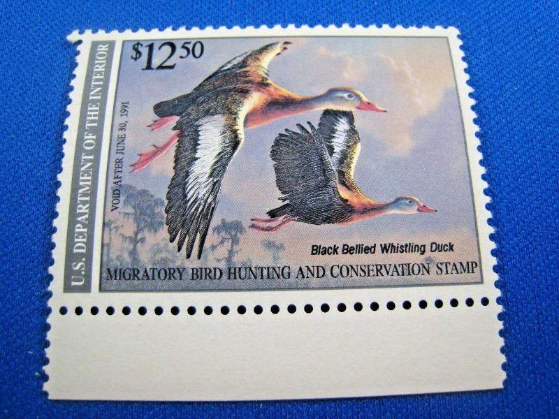 UNITED STATES  -  DUCK STAMP  -  SCOTT # RW57     MNH  