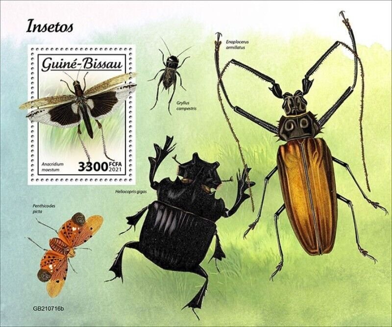 Guinea-Bissau 2021 Insects, Camouflaged Tree Locust - Souvenir Sheet GB210716b