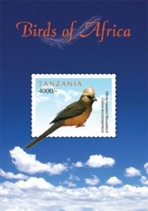 Tanzania 2011 - Birds of Africa, Mousebird - Souvenir Sheet - Scott 2639 - MNH