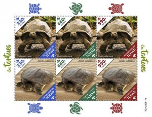 Chad - 2020 Softshell Turtle & Galapagos Tortoise - 6 Stamp Sheet - TCH200617a