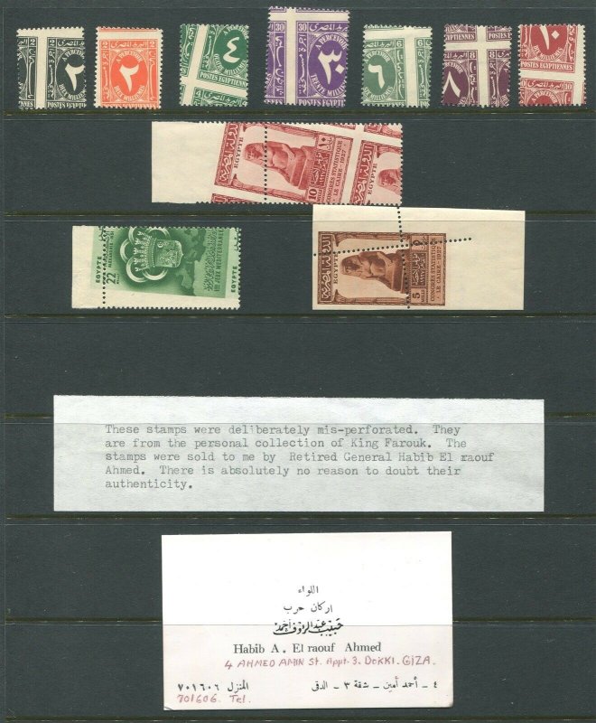 EGYPT ODDITY COLLECTION