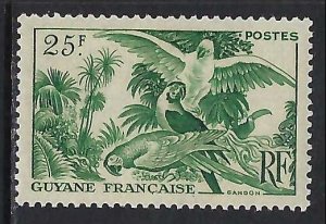 French Guiana 207 MOG BIRDS B1206