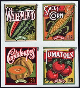 2015 49c Vintage Summer Harvest, Block of 4 Imperforate Scott 5004-07 Mint VF NH