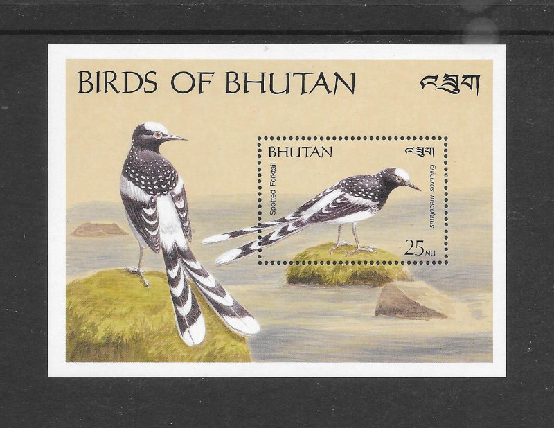 BIRDS - BHUTAN #797 SPOTTED FORKTAIL S/S MNH
