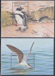 MOZAMBIQUE Sc #1585-6 MNH SET of 2 S/S - BIRDS