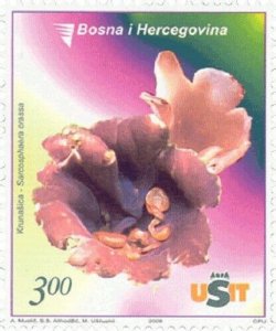 BOSNIA&HERZEGOVINA / 2006 - Fauna Mushroom, MNH 
