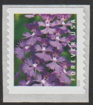 SC# 5435 - (55c) - Wild Orchids, 1 of 10 - MNH COIL single