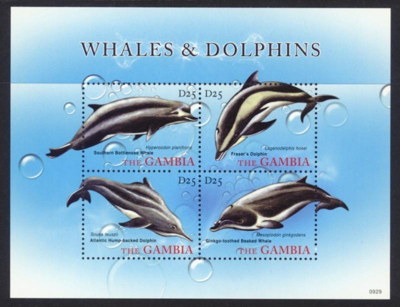 Gambia Sc# 3238 MNH Whales & Dolphins (M/S)