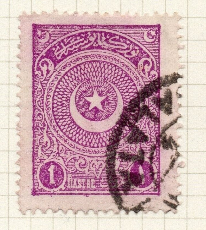 Turkey 1900s Early Issue Fine Used 1p. NW-12205