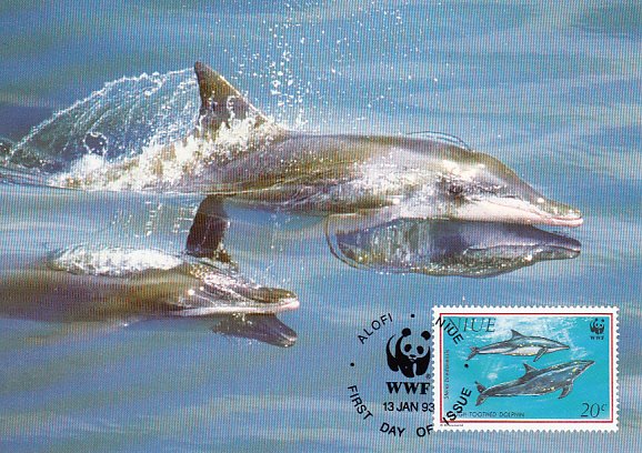 Niue 1993 Maxicard Sc #651 20c Rough-toothed dolphin WWF