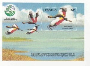 Lesotho 1992 - Earth Summit Birds - Souvenir Stamp Sheet - Scott #944 - MNH