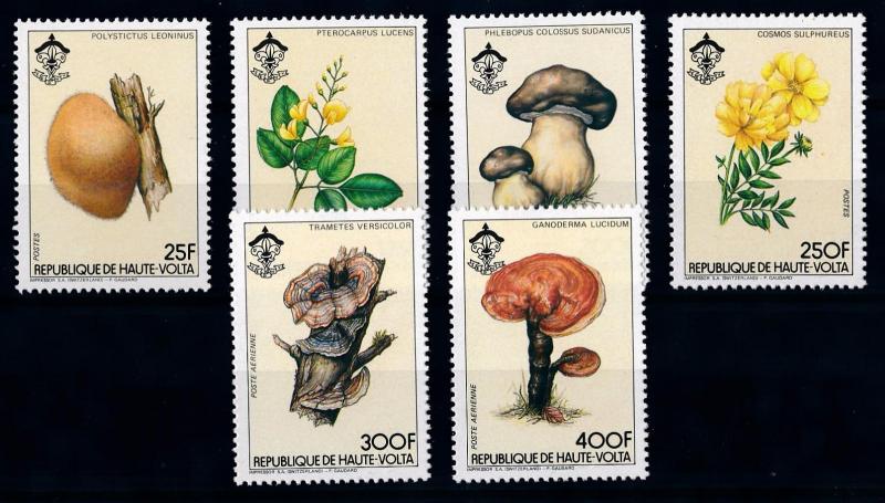 [65744] Burkina Faso Upper Volta 1984 Mushrooms Pilze Champignons Flowers  MNH